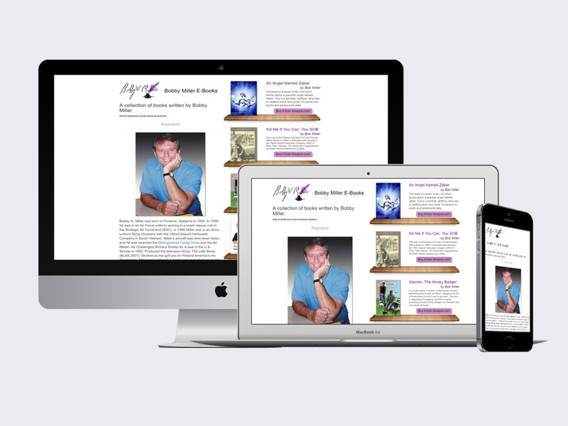 Proiect e-booksmiller.com