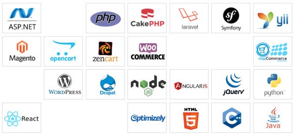 Web Development Frameworks