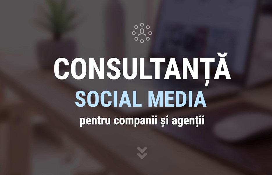 Consultanta in social media vs. management: de ce servicii aveti nevoie?